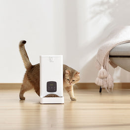 PAWGETHER Dispenser hrană