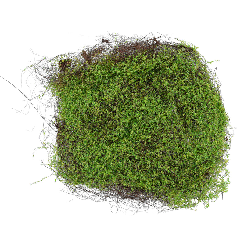 MOSS ZOLLA Mușchi artificial