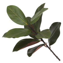 MAGNOLIA Crenguță artificială