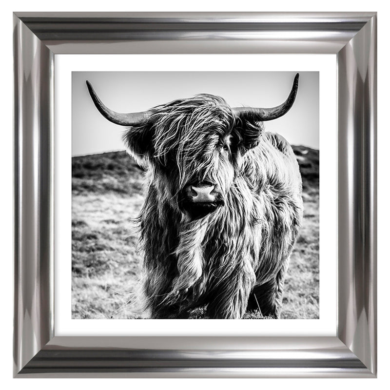 HIGHLAND I Tablou