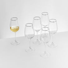 REGATTA Set 6 pahare vin alb, sticlă, 340ml