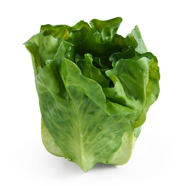 SALATA Legumă artificială