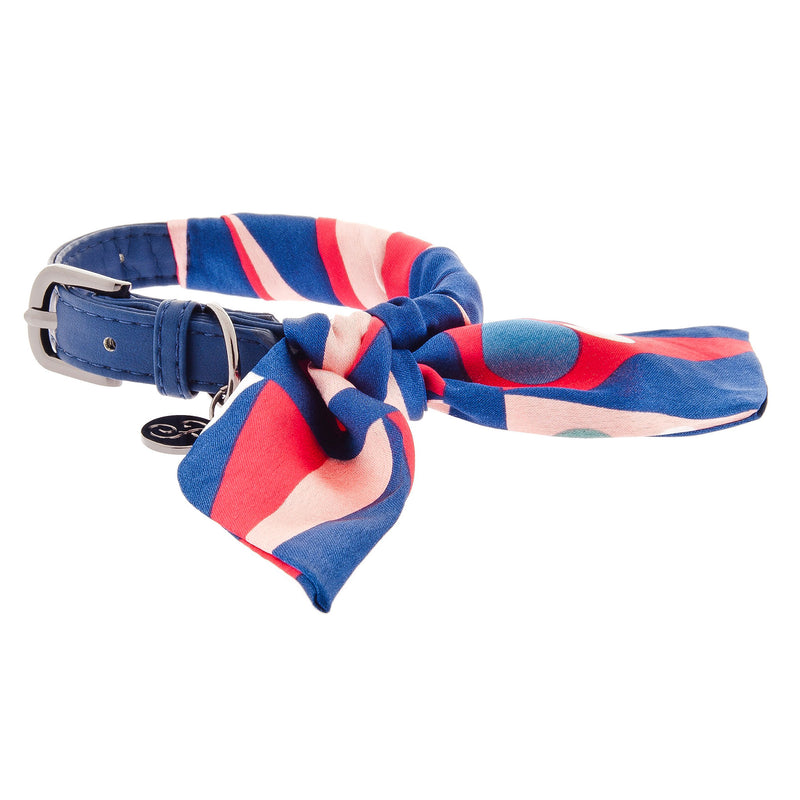 CARMEN Set lesă cu zgardă