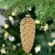 ACORN Ornament