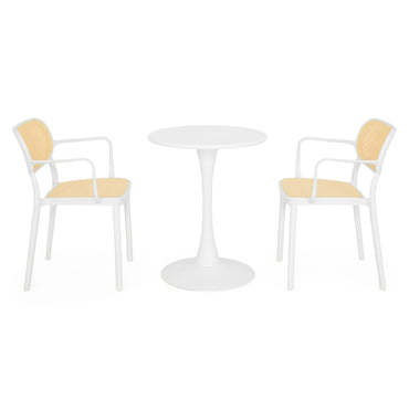 PLEZURO/ALIVIO Set mobilier terasă/grădină, 2 scaune și masă