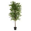 FICUS Copac artificial