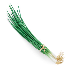 CEAPA Legumă artificială