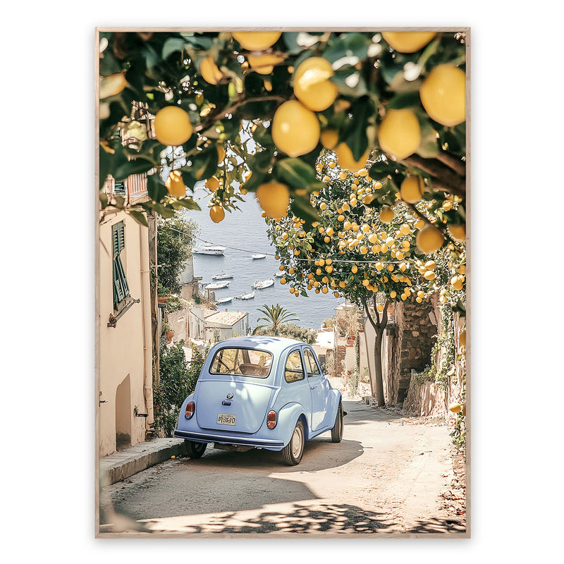 VIA DEI LIMONI Tablou