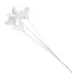 BADAM Crenguță naturală