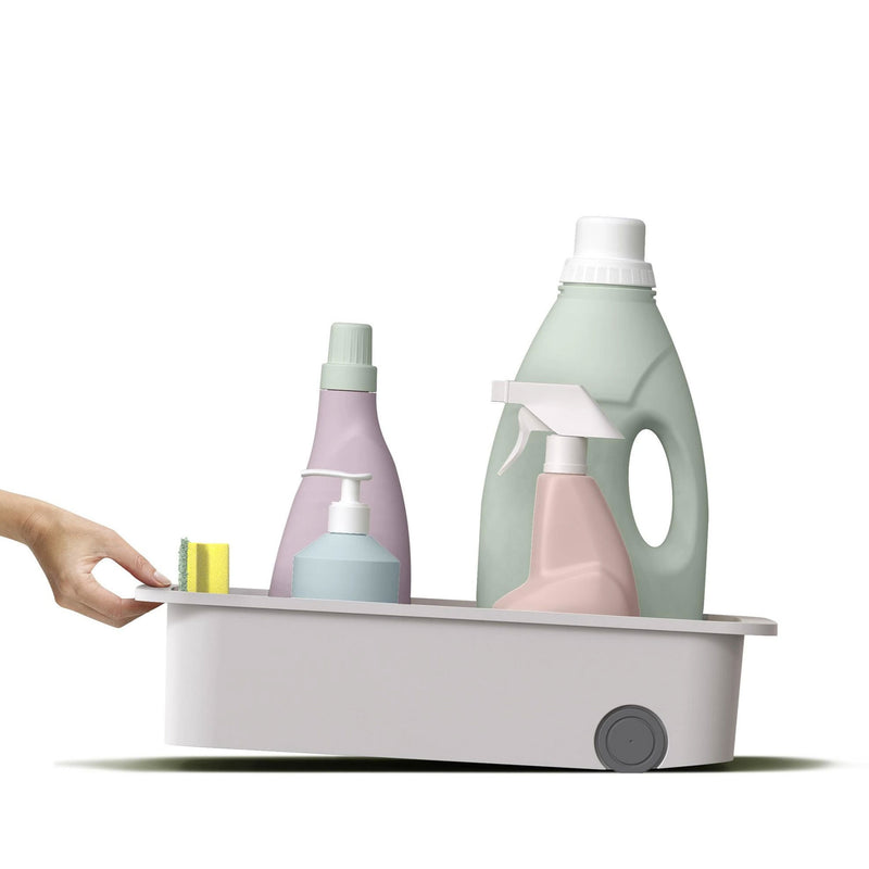 CADDY Organizator
