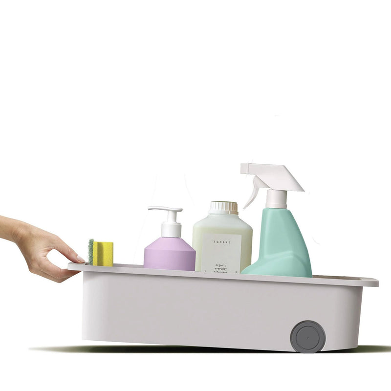CADDY Organizator