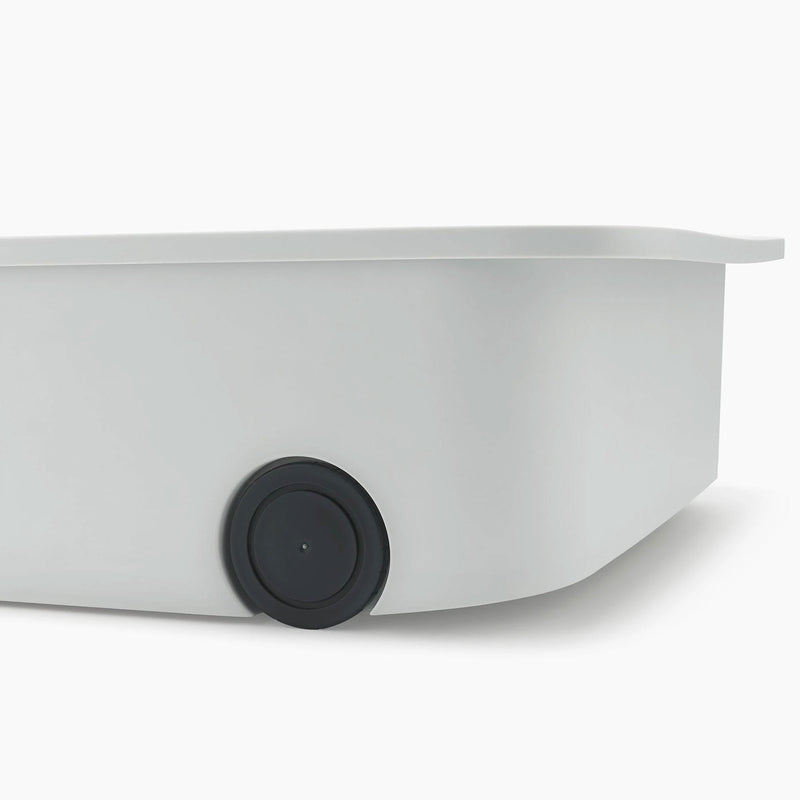 CADDY Organizator