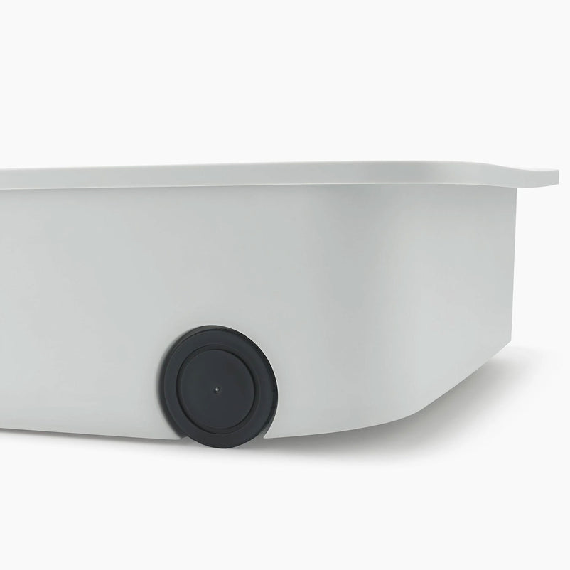 CADDY Organizator