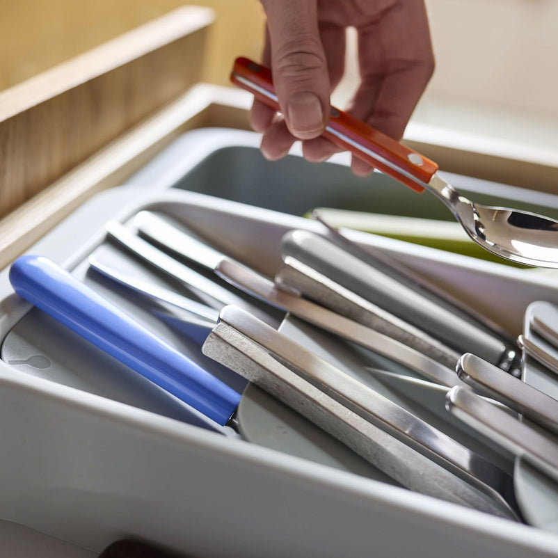 TRAY Organizator