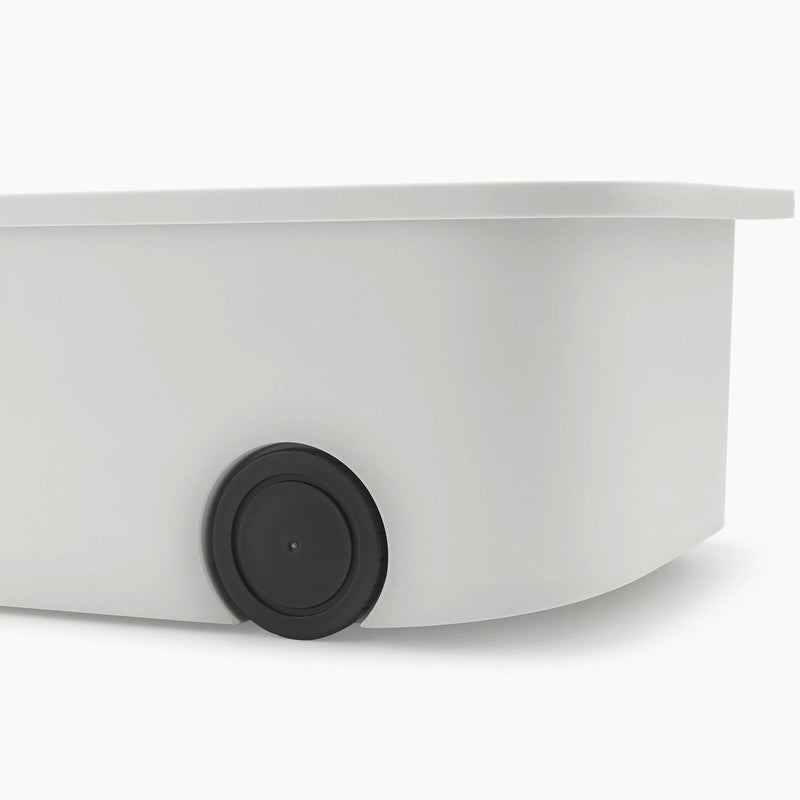 CADDY Organizator