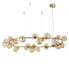 auriu/chihlimbar