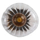 SUNBEAM Aplică 1x7W G9