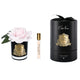FRENCH ROSE Difuzor parfum cameră