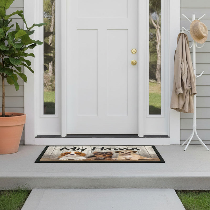 CANI MY HOME Covoraș intrare, 40x68cm