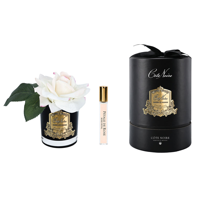 FRENCH ROSE Difuzor parfum cameră