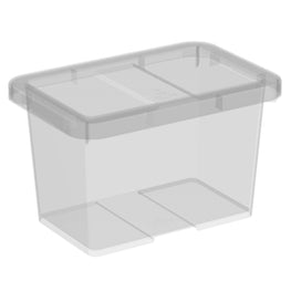 BOX Cutie depozitare