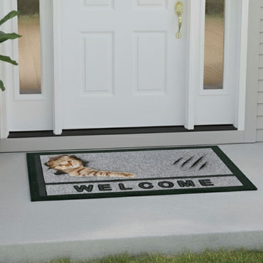 GATTO GRAFFIO Covoraș intrare, 40x68cm