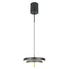 negru/auriu