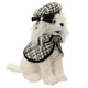FASHION DOGGY Decorațiune
