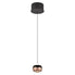 negru/auriu