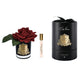 FRENCH ROSE Difuzor parfum cameră