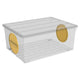 BOX Cutie depozitare