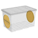 BOX Cutie depozitare