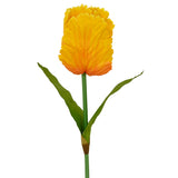 galben