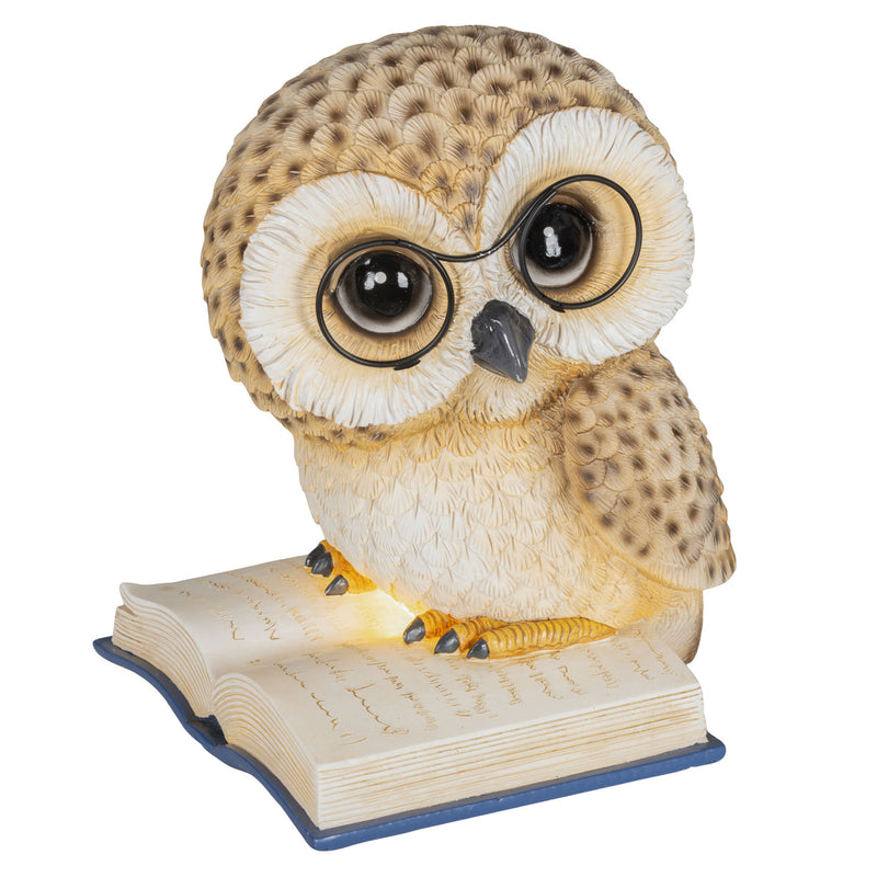 OWL Decorațiune Crăciun