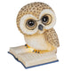 OWL Decorațiune Crăciun