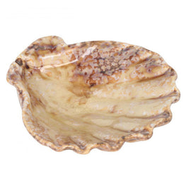 MOMI Platou servire, porțelan, L.13cm