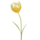 TULIP Decorațiune exterior