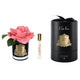 FRENCH ROSE Difuzor parfum cameră