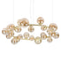 auriu/chihlimbar