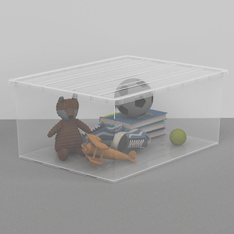 BOX Cutie depozitare