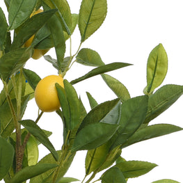 LEMON Copac artificial în ghiveci
