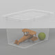 BOX Cutie depozitare