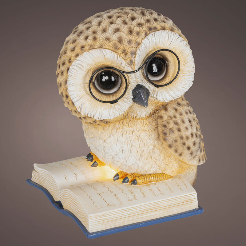 OWL Decorațiune Crăciun