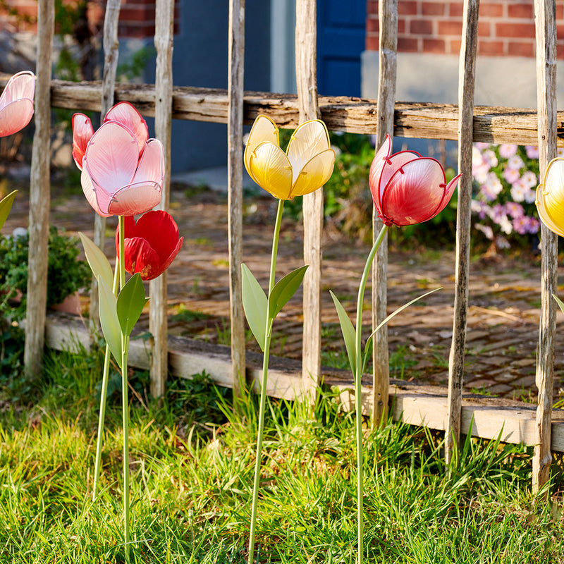 TULIP Decorațiune exterior