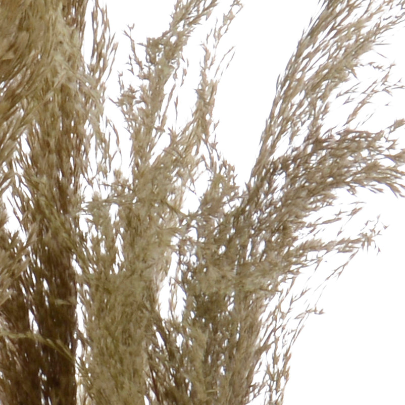 PAMPAS Plantă artificială în ghiveci