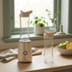 IRIDEA Blender electric, 450W