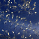 CRYSTAL PEARLS Instalație luminoasă