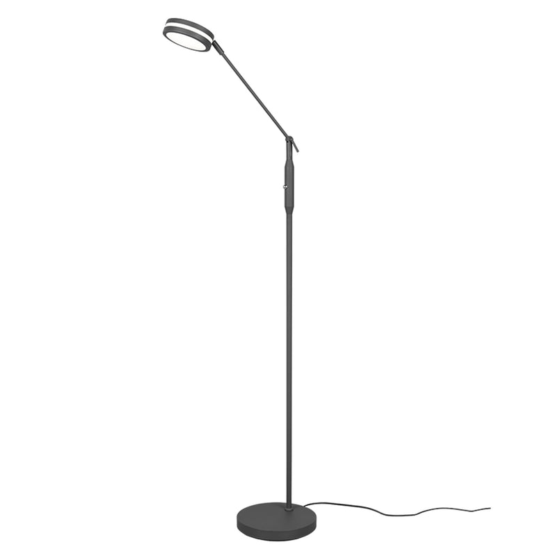 FRANKLIN Lampadar 1x6wW LED