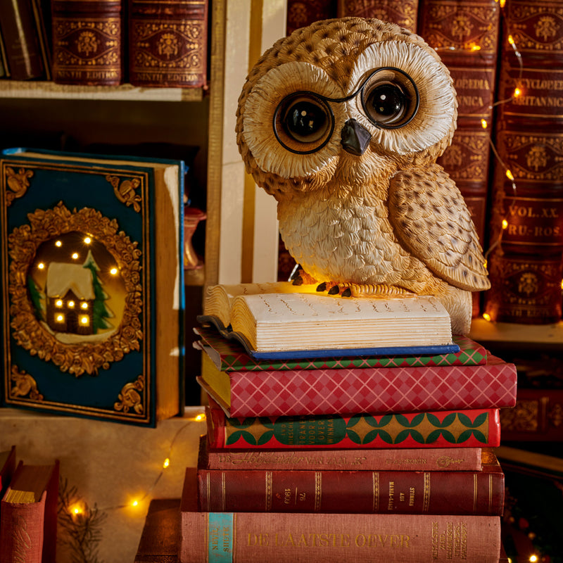 OWL Decorațiune Crăciun