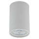 TOP WHITE Plafonieră 1x10W GU10